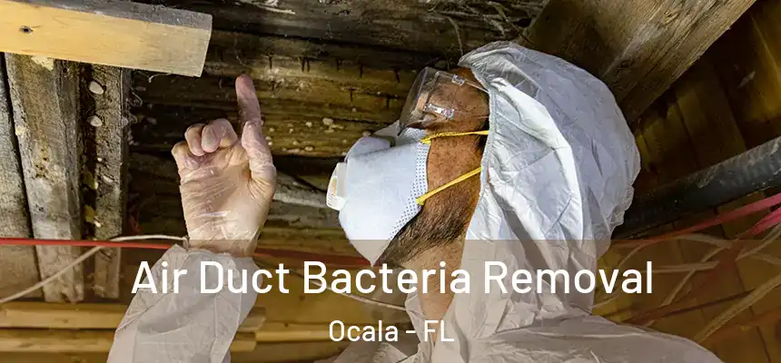 Air Duct Bacteria Removal Ocala - FL