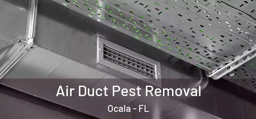 Air Duct Pest Removal Ocala - FL