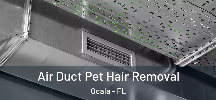 Air Duct Pet Hair Removal Ocala - FL
