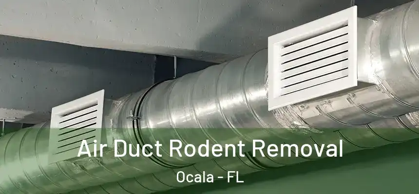 Air Duct Rodent Removal Ocala - FL
