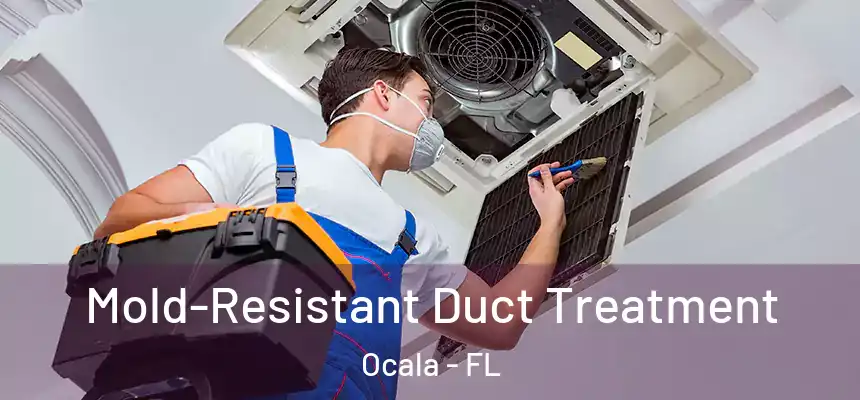 Mold-Resistant Duct Treatment Ocala - FL
