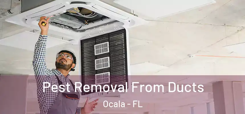 Pest Removal From Ducts Ocala - FL
