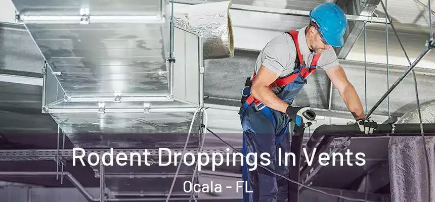 Rodent Droppings In Vents Ocala - FL