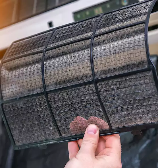 About Pet Dander Duct Cleaning in Ocala, FL